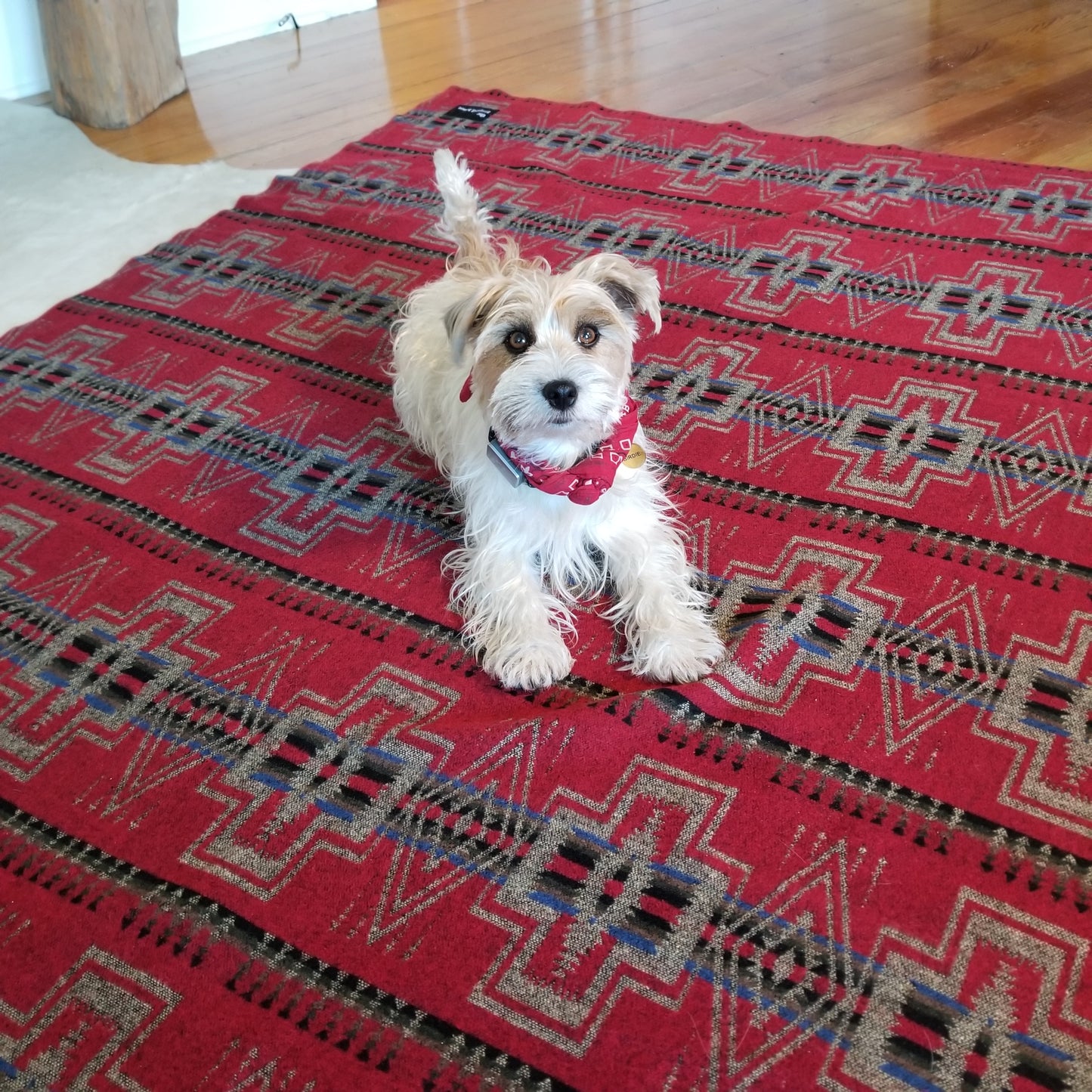 Catskill Camp Blanket in Red